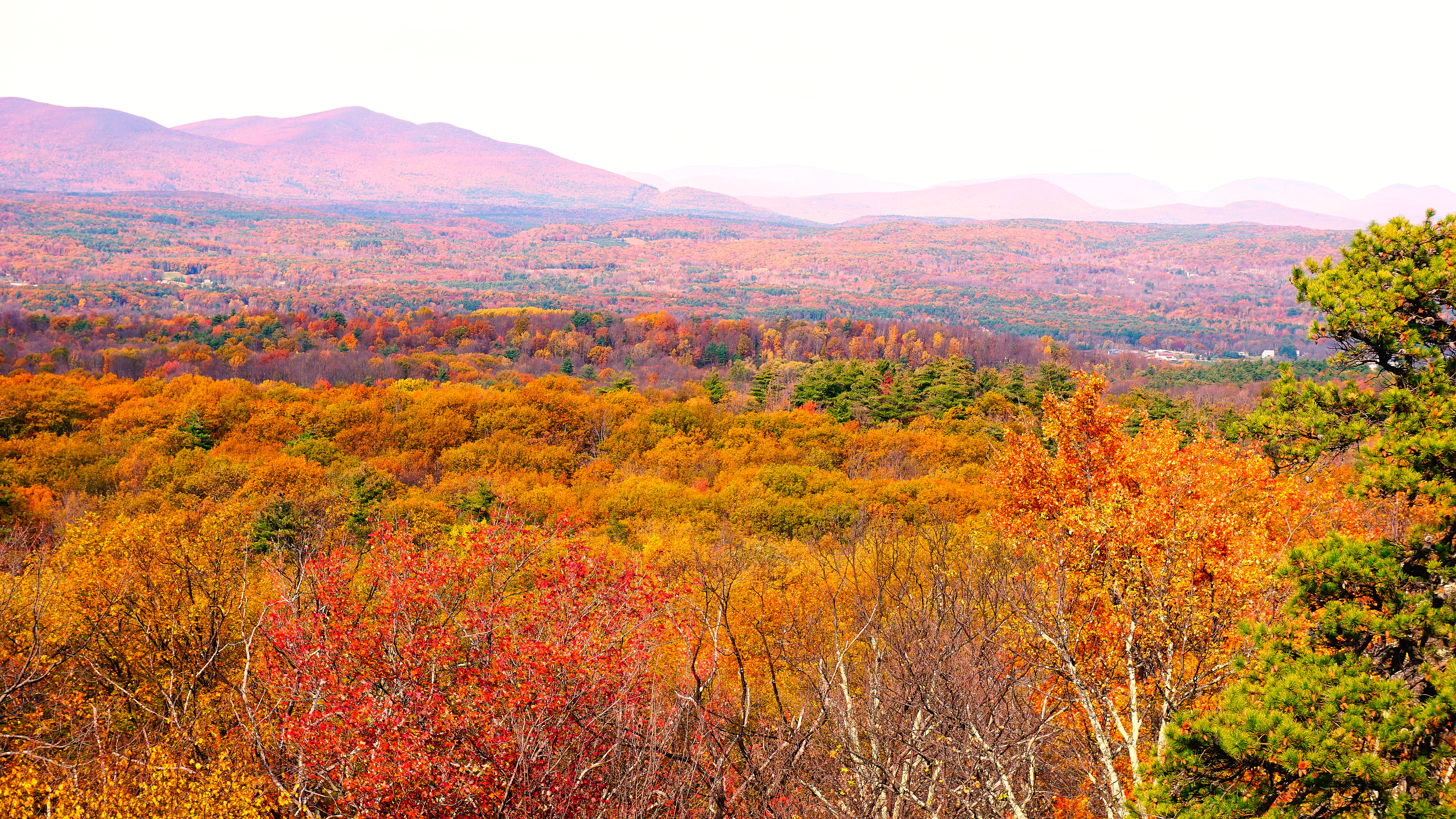 Surreal fall hues from Hunter Mountains NY