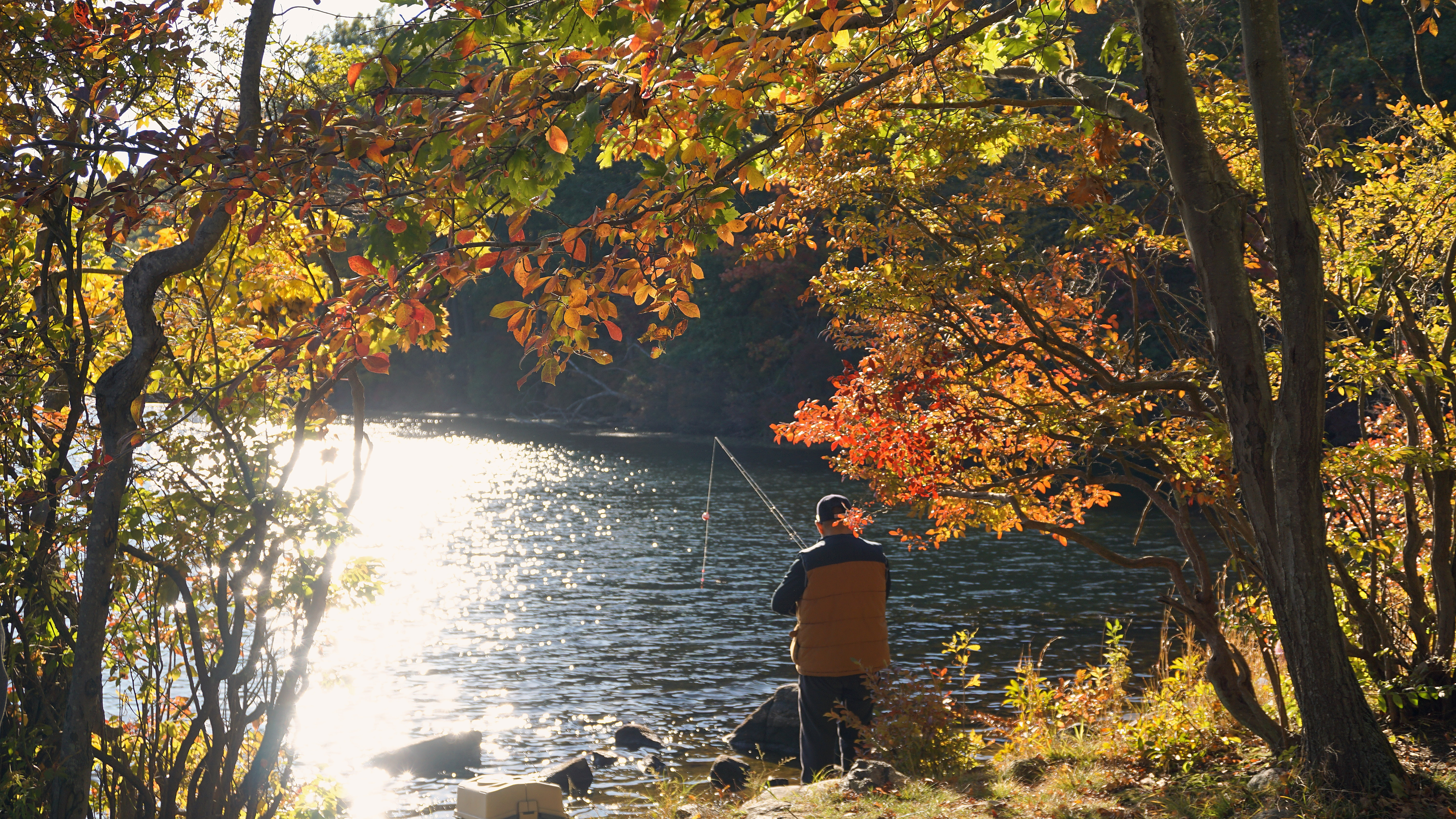 A man fishing at a lake in Bear Mountains State Park