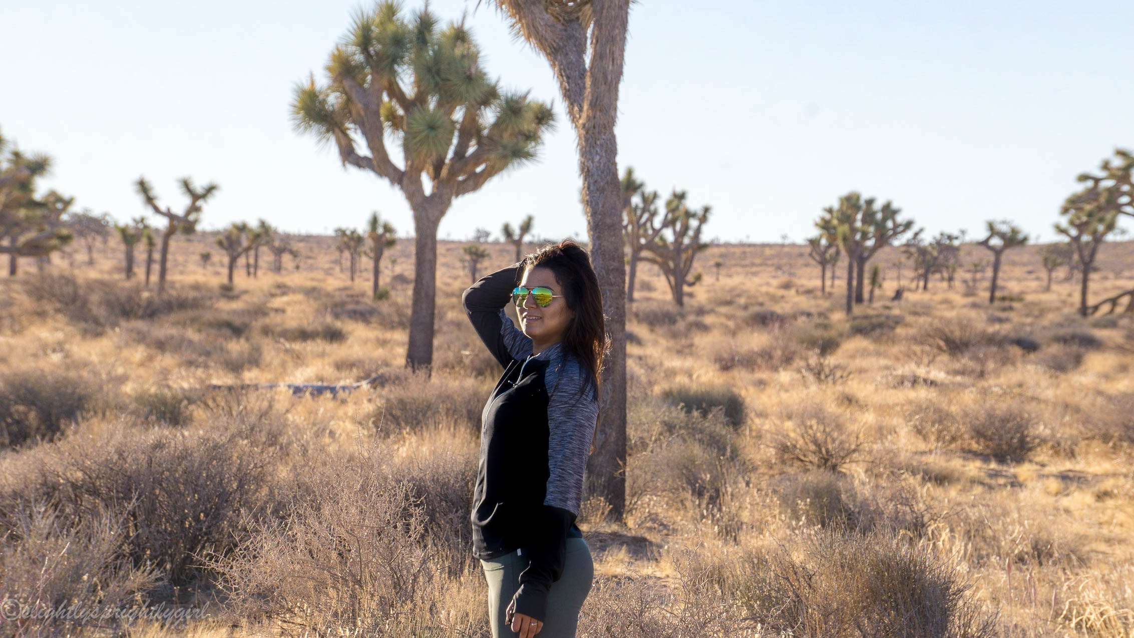 Joshua Tree National Park